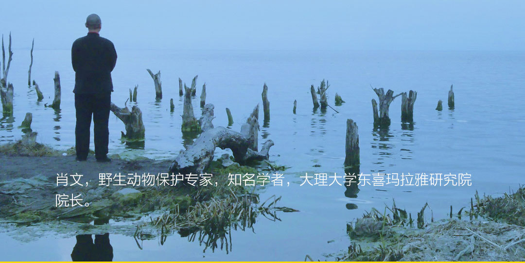 amazfit羚羊轻户外跑鞋,amazfit羚羊轻户外跑鞋脱胶