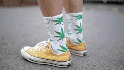 超强缓震的跑步鞋,刀锋缓震鞋排名