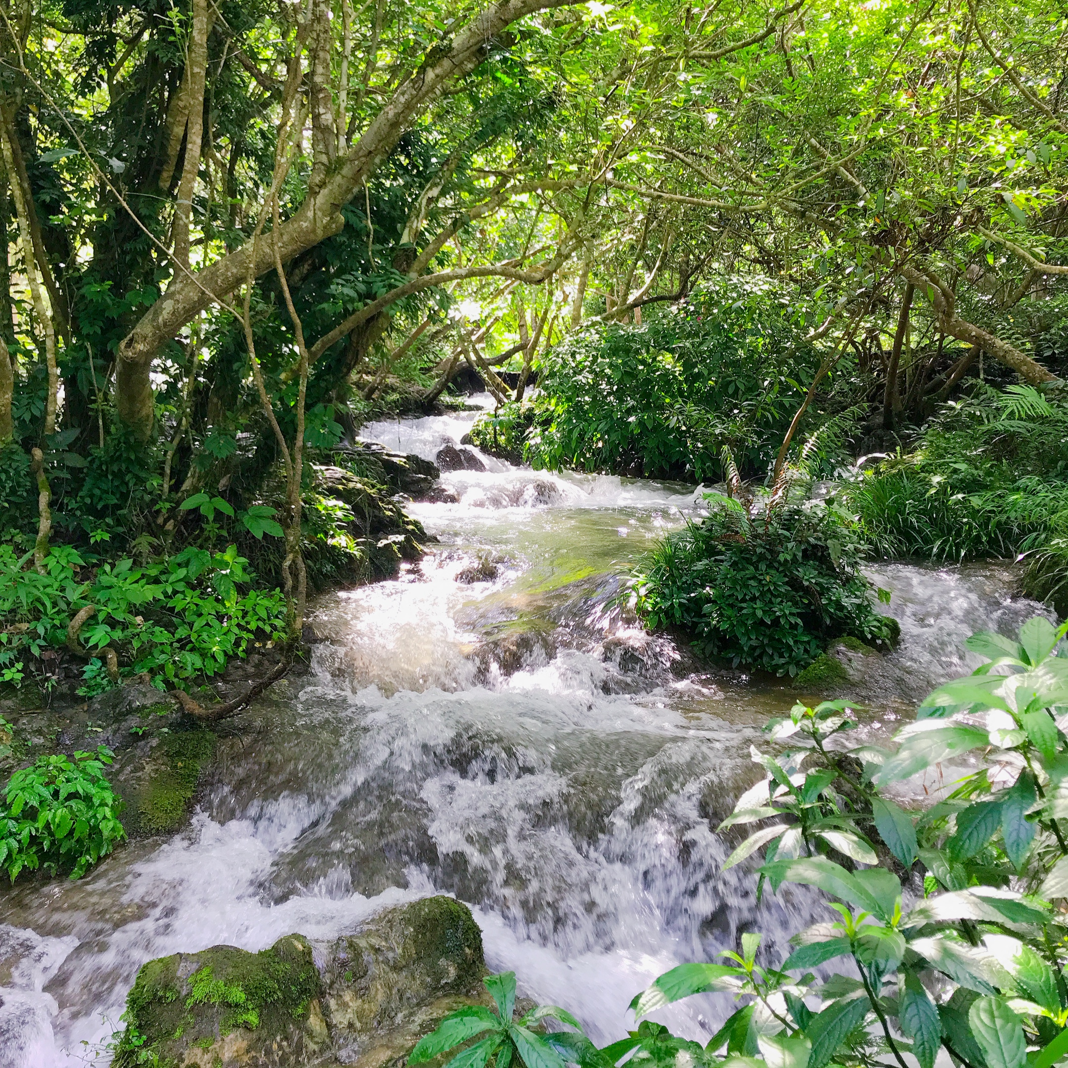 自驾游荔波小七孔旅游攻略,荔波小七孔游记600字