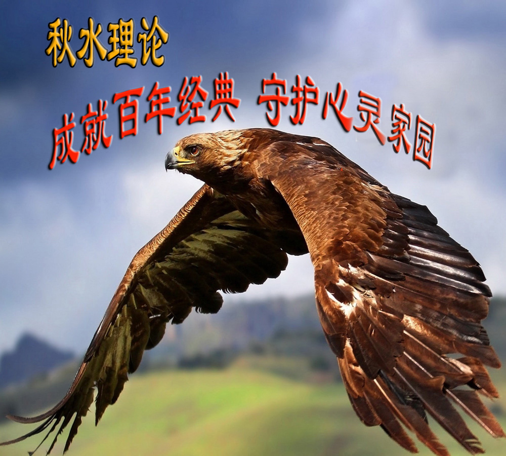 口吃原理与康复书怎么买,口吃原理与康复全文