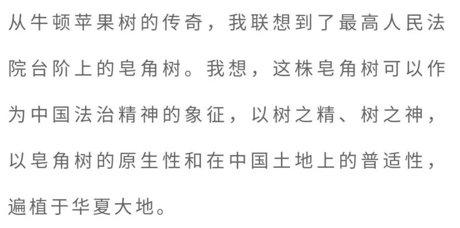 「书香佳韵」厦门市中级人民法院黄鸣鹤：台阶上的皂角树