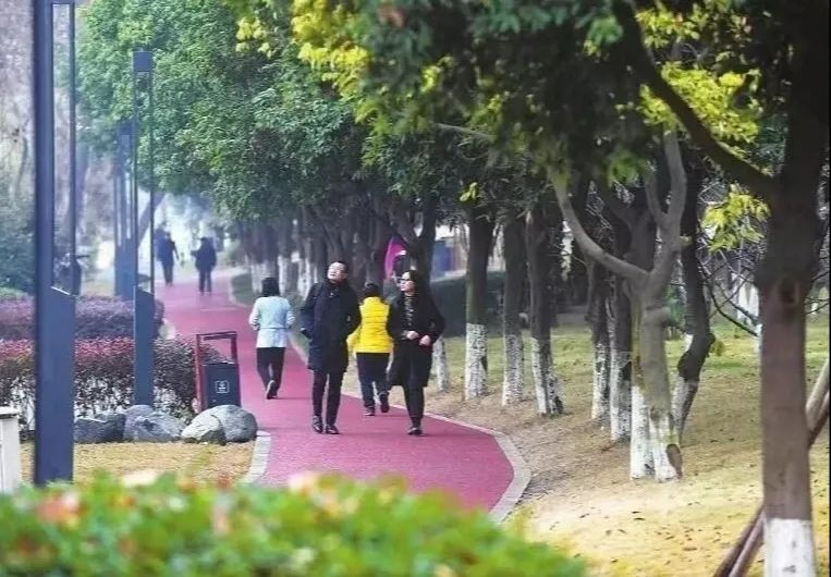 成华区新建湿地公园有哪些,成华公园还在吗