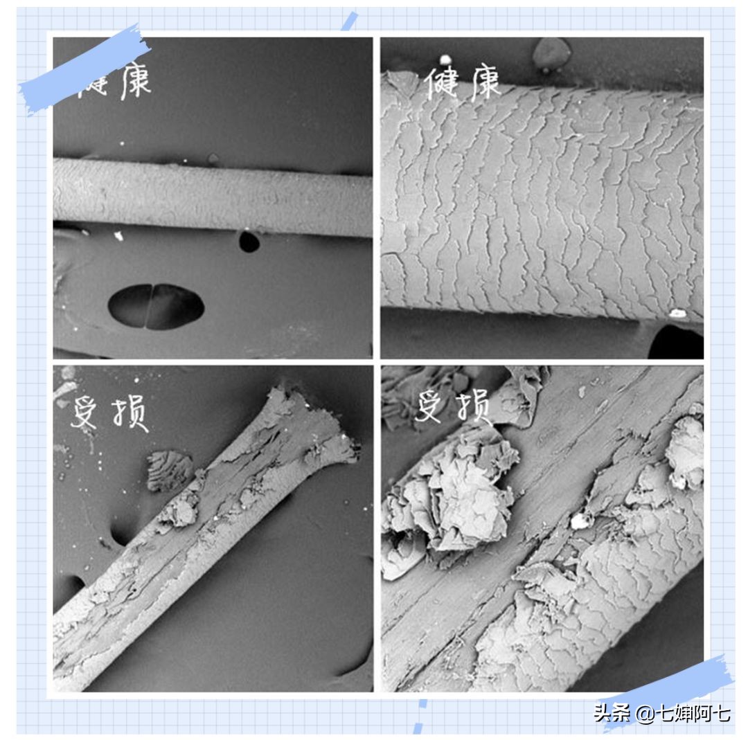 还是无聊的黑发？换个发色你也是仙女