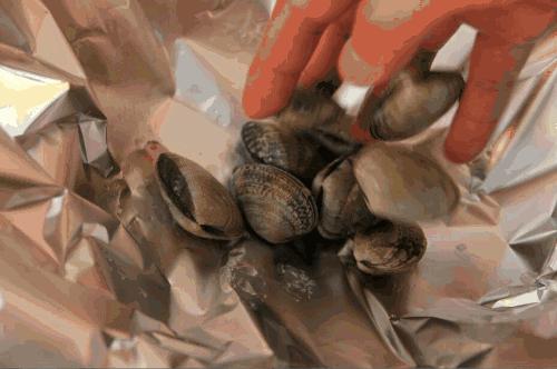 小锡纸海鲜,铁板锡纸白灼小海鲜