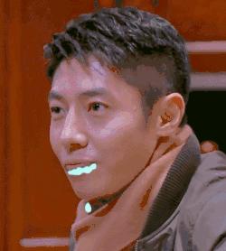 中国动物死亡事件,全国每年有多少动物死亡