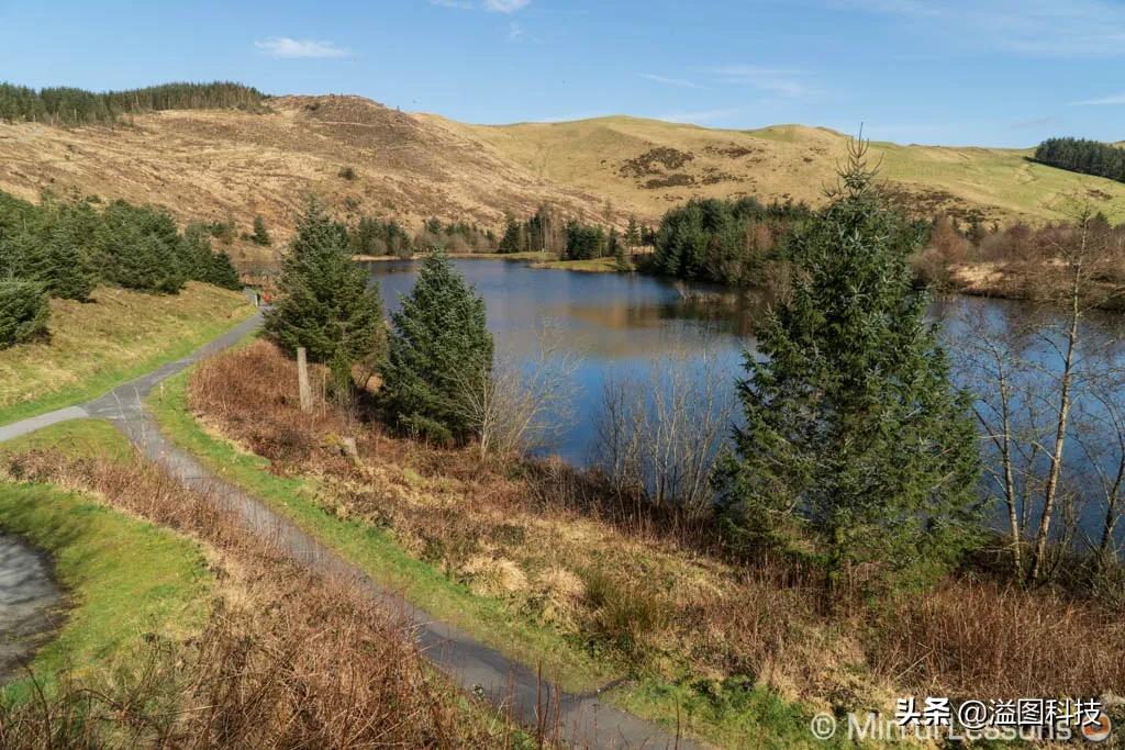 微单拍鸟最好的相机,微单拍人像哪款相机好