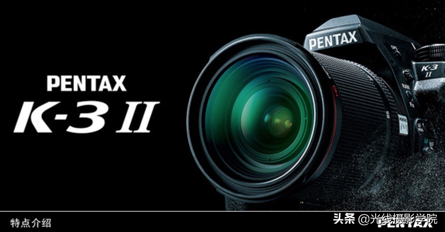 2019尼康单反性能排名,尼康2023年值得买的单反