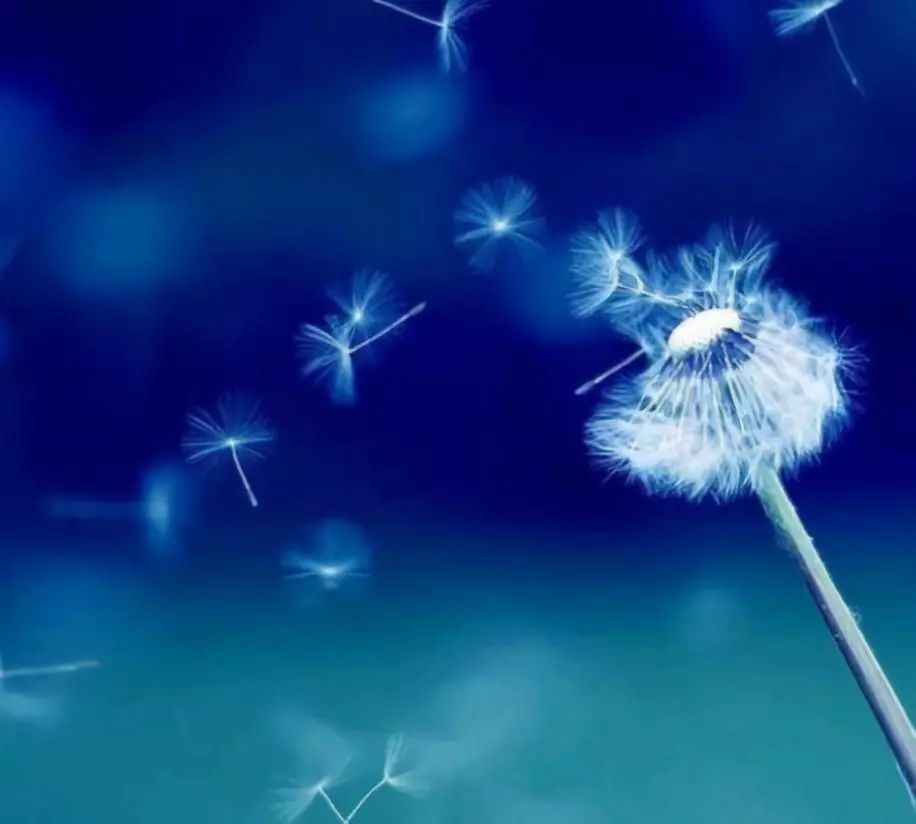 人生和电影一样都是以余味为标准,人生与电影一样都是以余味定输赢