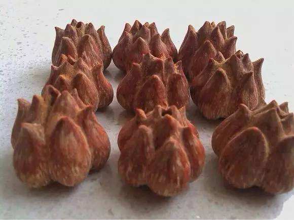 和菠萝类似的盆景,果实可以食用的盆景