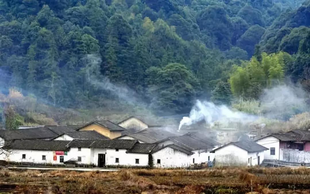 我是真的热啊,从化的天气有多冷