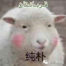 2021古尔邦节是几月几号,各国古尔邦节怎么过的