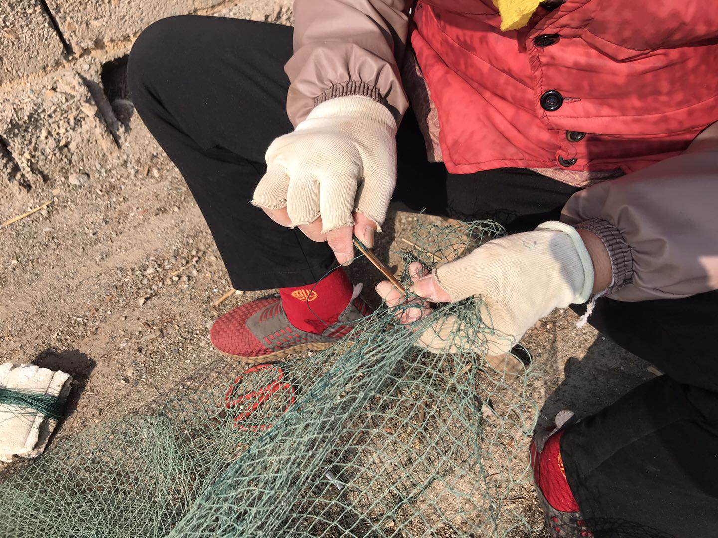 在海边做什么工作赚钱,在海边做什么工作最赚钱