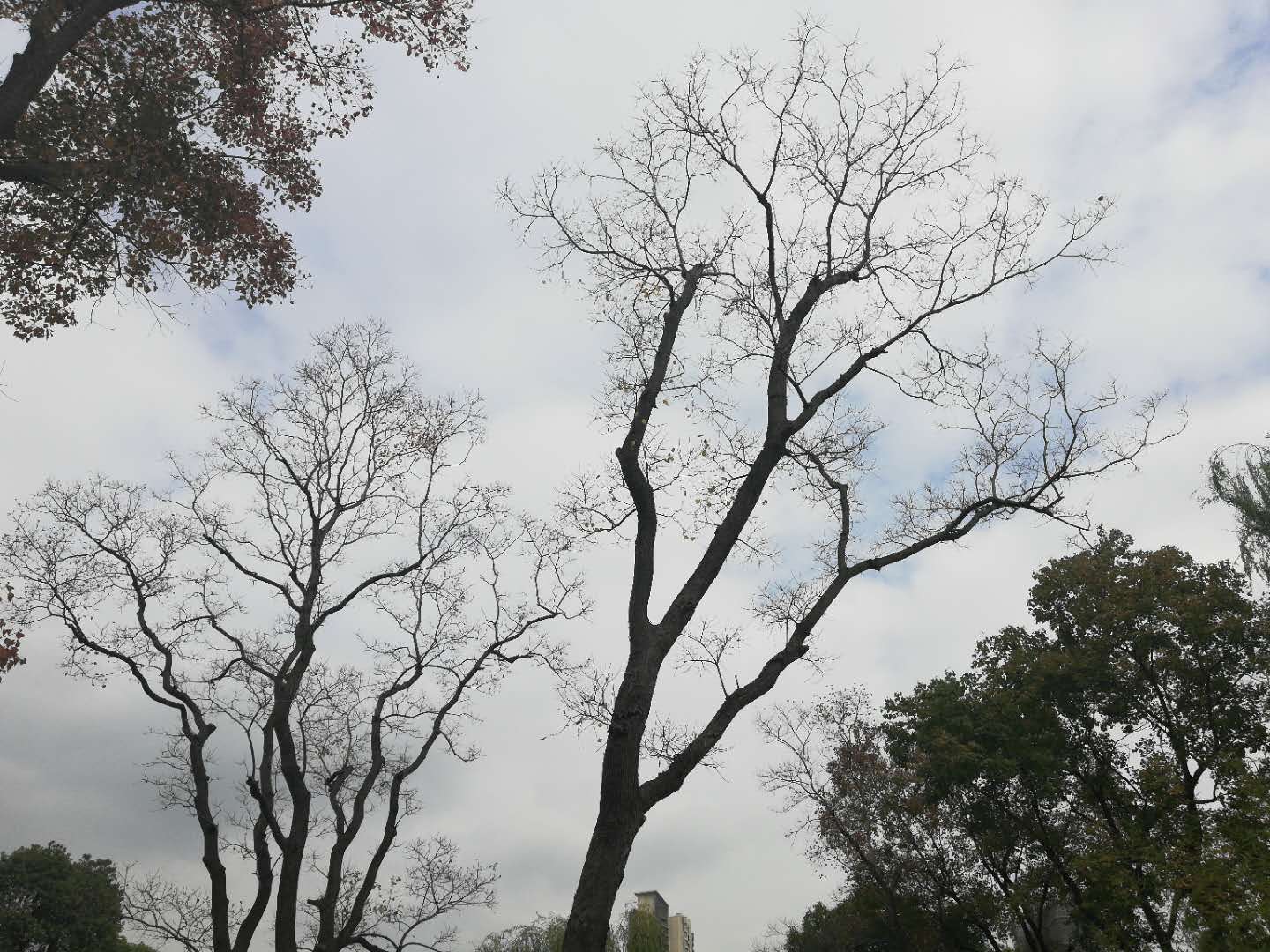 徒步无锡古运河寻找美景,无锡最美沿太湖路线