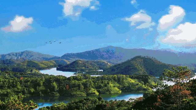 梅州开通新高铁路线,广州梅县高铁1.5小时通车