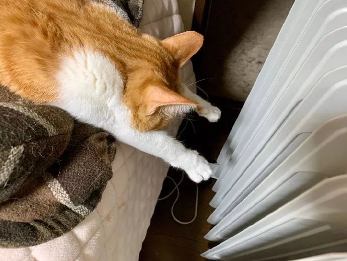 对男生说什么话*伤杀**力最大|冷段子1078去年今日1023