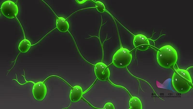 淋巴结肿大按摩哪个部位最有效,身体多部位淋巴结肿大是什么原因