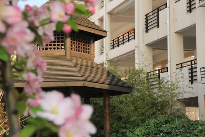 昆山地区十强中学,昆山市排名前十的中学有哪些