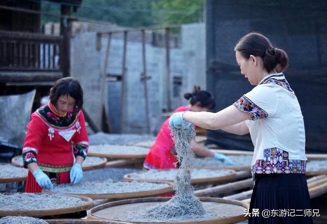 湘西张家界野莓茶,张家界高档旅游特产土家莓茶