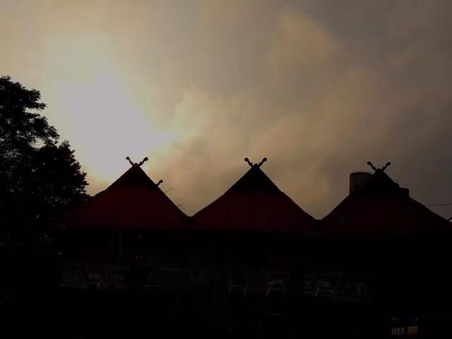 易武茶叶真假怎么分辨,易武茶饼真假鉴别方法