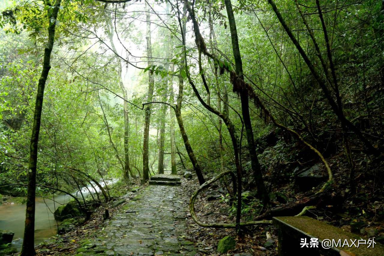 开启你的天然氧吧洗肺之旅,富氧洗肺好去处