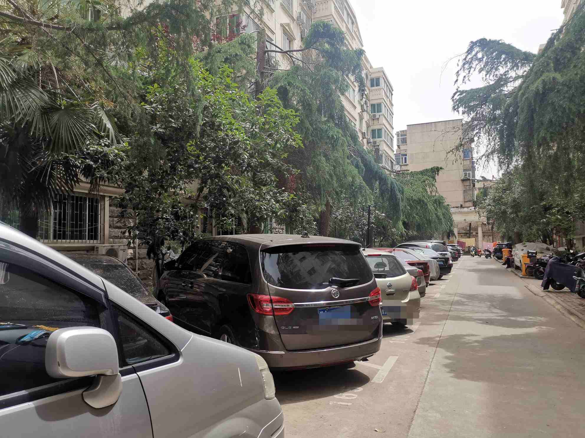 小区车位上漏油导致业主摔伤,小区树木滴油找谁处理