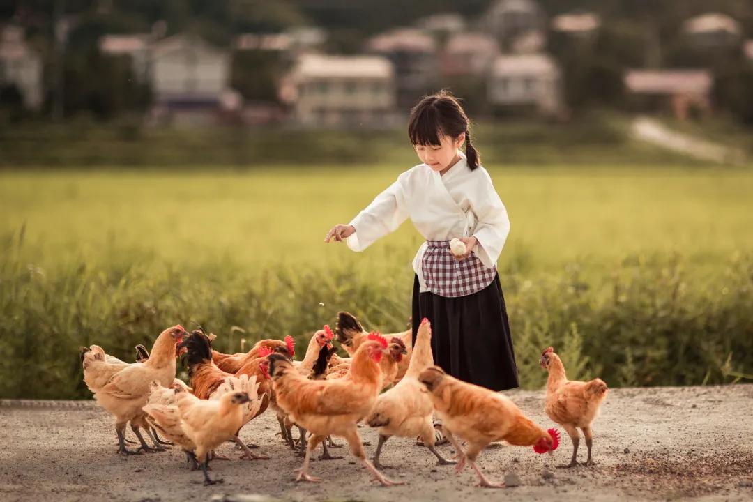 你好夏天立夏已至完整版,立夏你好抖音