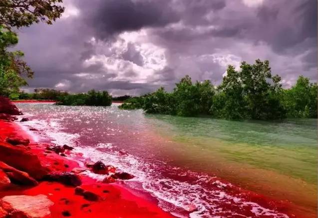 嘘！我要去澳洲了，不如一起吧