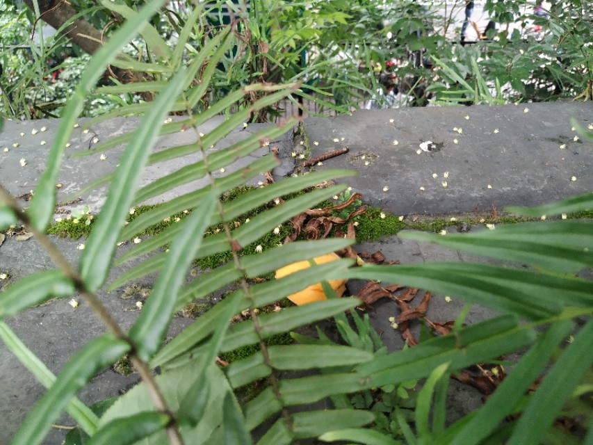 杭州古城门全景图,杭州十大古城门一日游