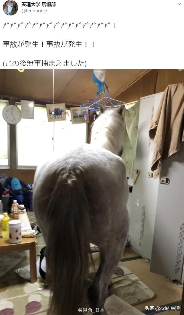 m78基因跟吃香菜有什么关系,不喜欢吃香菜的科学原因