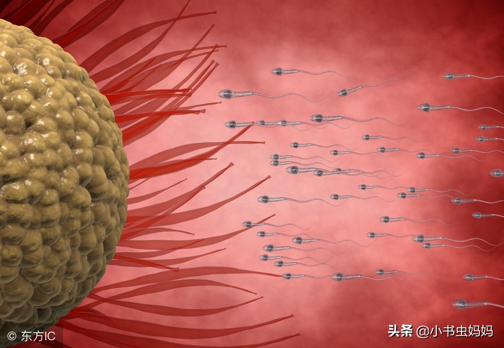 谈备孕7个超级有效的受孕小妙招,备孕期间要怎么才比较容易受孕