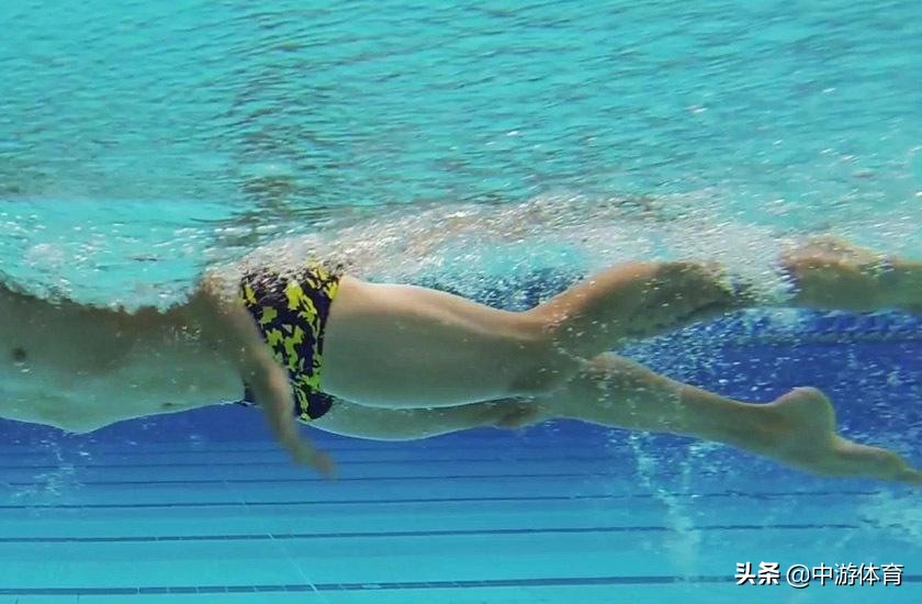 中游体育自由泳手脚配合视频,中游体育为什么自由泳打腿不前进