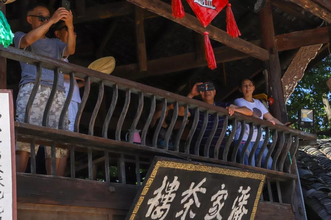 又是人间四月天踏青赏花正当时,正是人间芳菲时