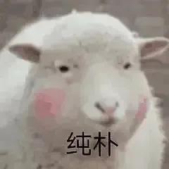 王校长孙一宁表情包,孙一宁王校长聊天记录表情包