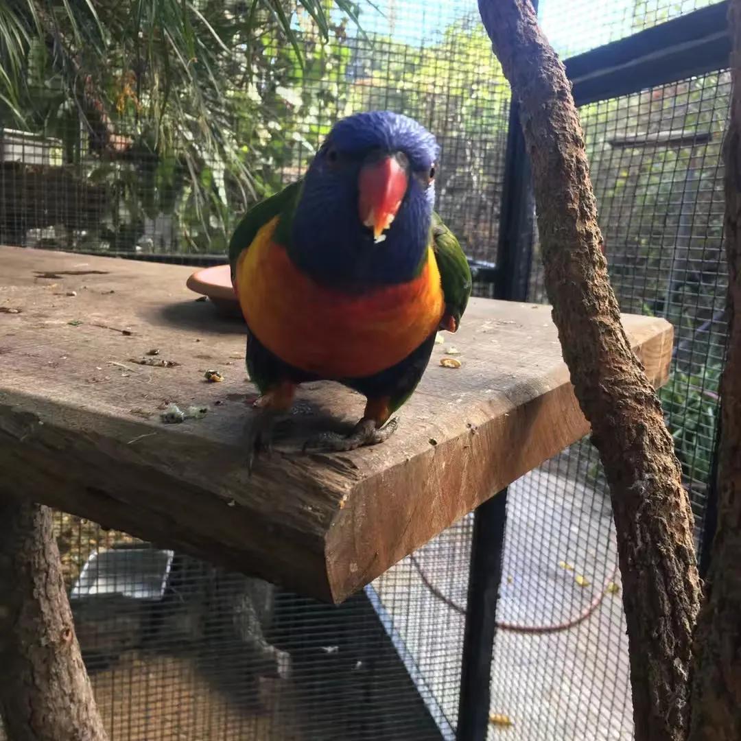 100个稀奇古怪的赚钱点子,最不可思议的搞钱方式