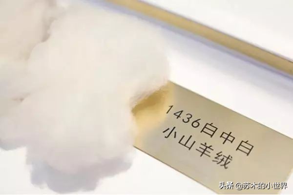 loropiana围巾欧洲价格是多少,lorapiana围巾经典款