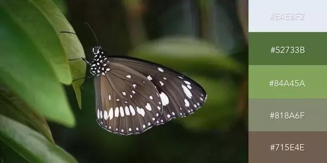 999张图片视频的卡点模板,服装设计素材收集与整理