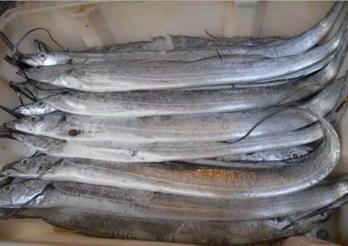 濞佹捣鍐滄壒甯傚満,濞佹捣鍐滄壒鎵瑰彂甯傚満