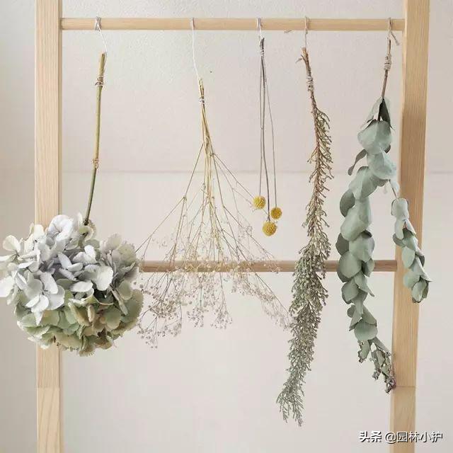 如何用鲜花制作干花而不凋零,鲜花晾干后怎么制作干花和保存