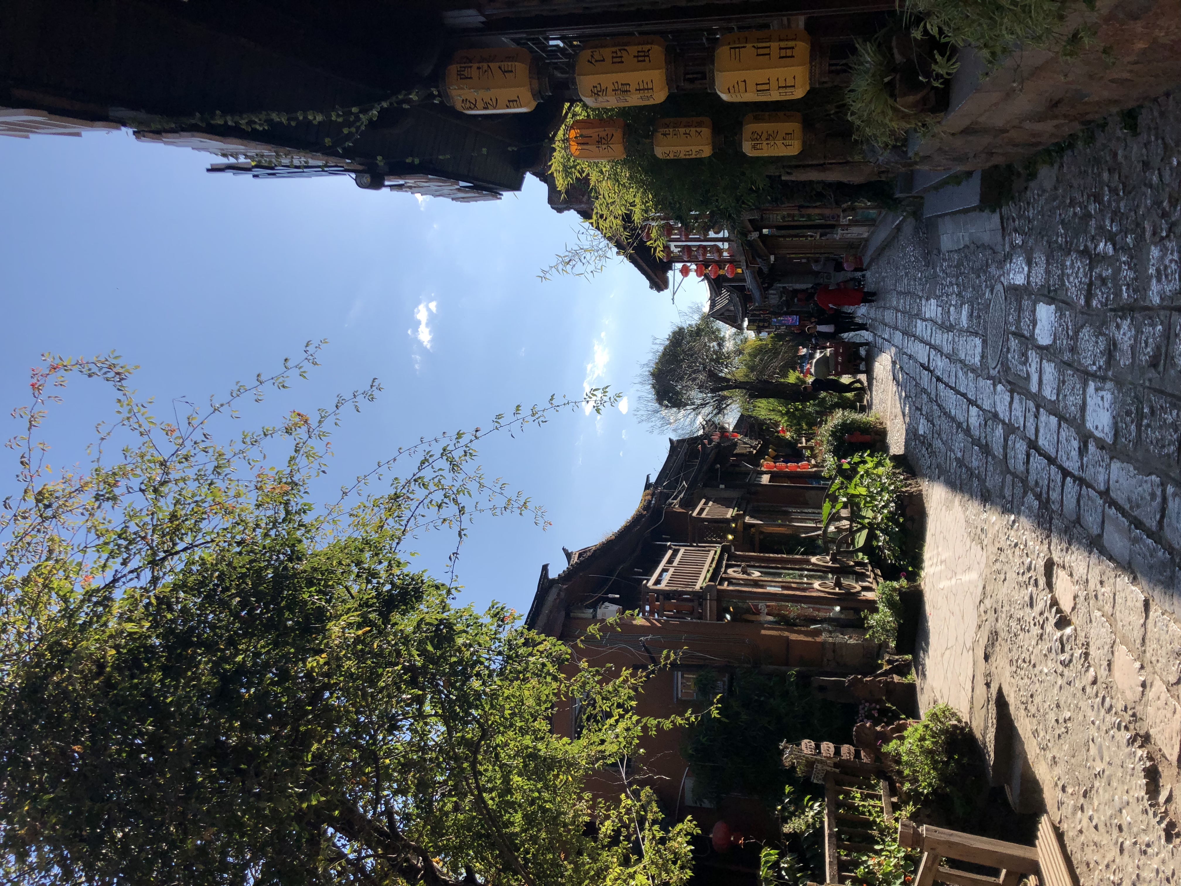 束河古镇民宿雪山下的家,束河古镇住宿看玉龙雪山