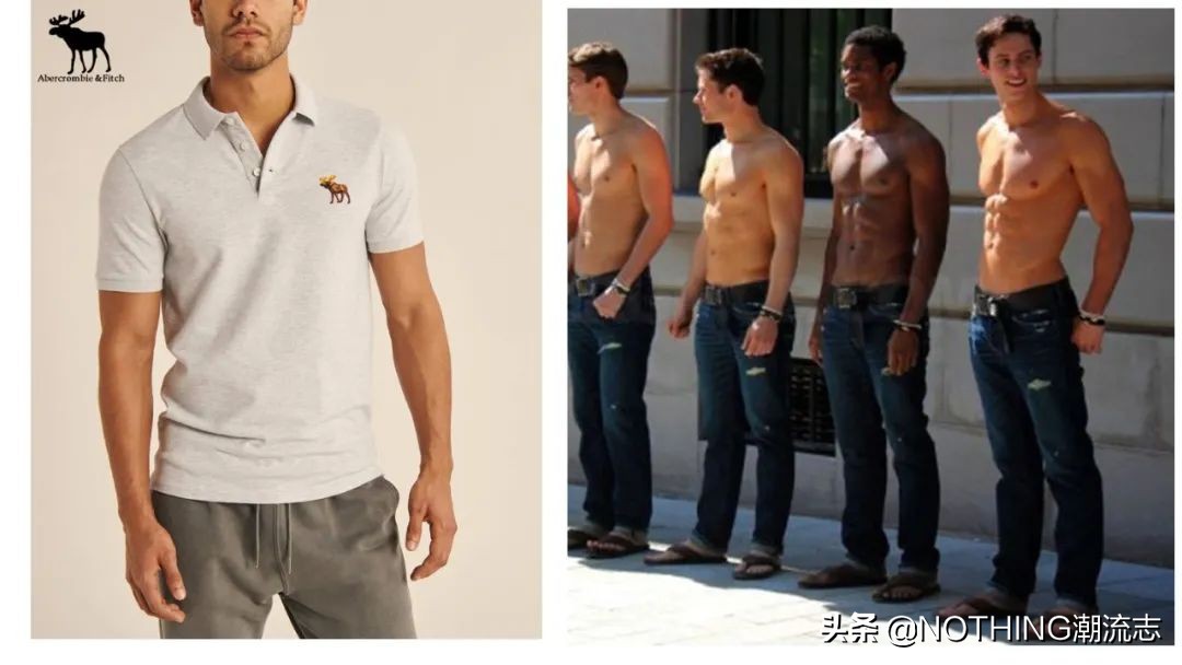 国际十大polo品牌标志,polo全球畅销车型