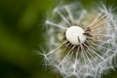 夜读人生最好的境界是丰富的安静,夜读人生最好的状态以从容为底色