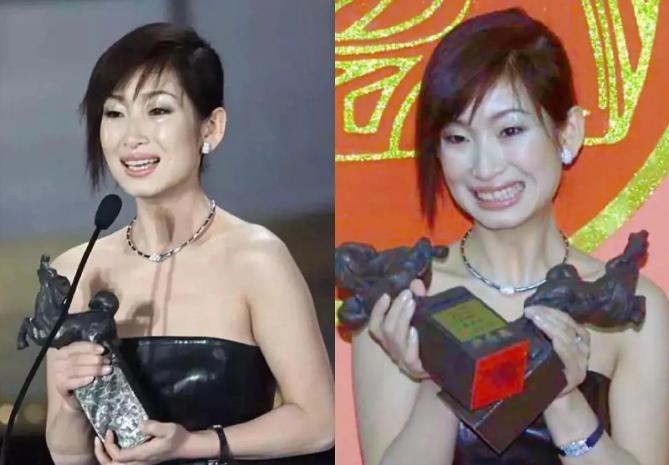 秦海璐最丑影后,最年轻金马影后秦海璐