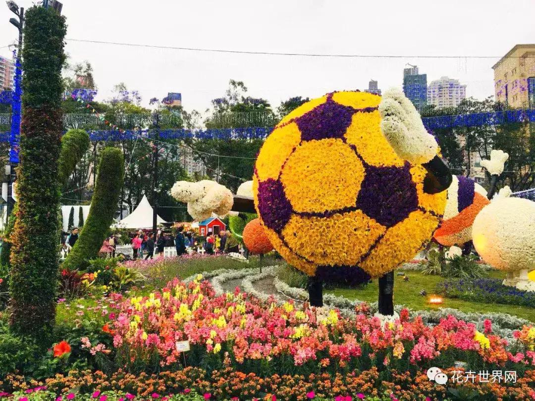 香港花卉艺术展,共赴盛会活动