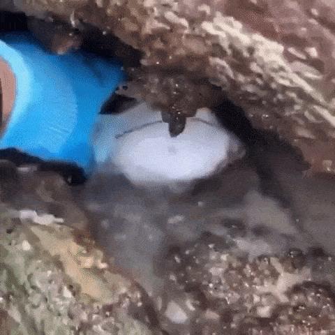 台风烟花过后留下惊人的一幕,台风烟花结局