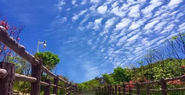 端午旅游推荐2-3天游长沙,端午长沙周边游旅游攻略