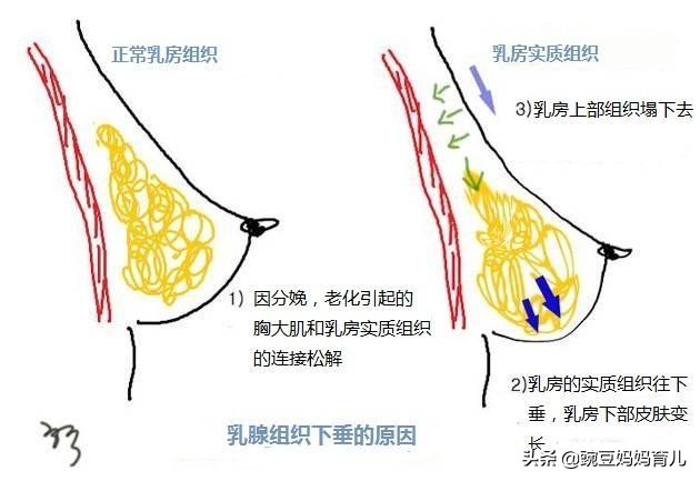 ​女人生没生过孩子就看这几点，很少有人一条不中