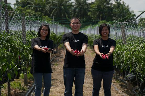 阿里巴巴敲钟的8个人,阿里巴巴敲钟人在哪里