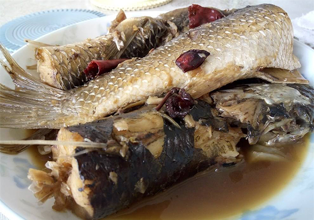 喜欢钓罗非还是鲤鱼,海钓梭鱼技巧视频