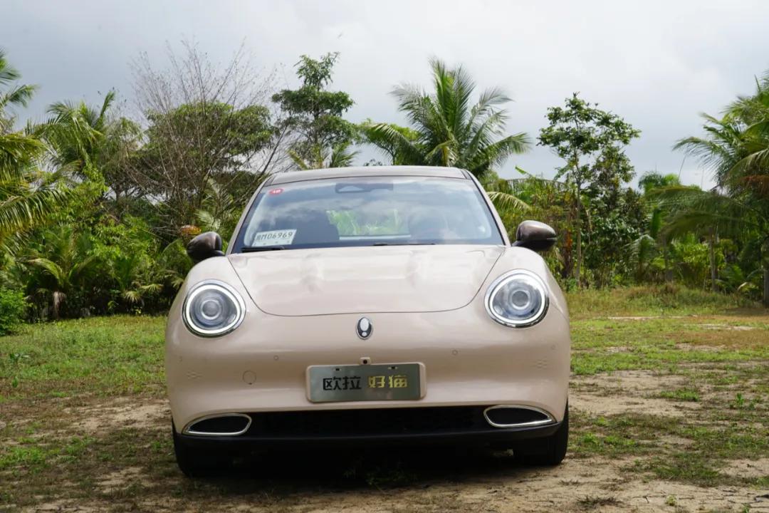 欧拉好猫试乘试驾介绍,欧拉好猫女性配置