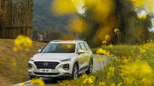 2008切尔西青训,切尔西青训营